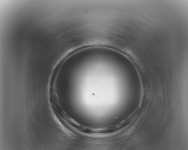 X0000071381422200606301758