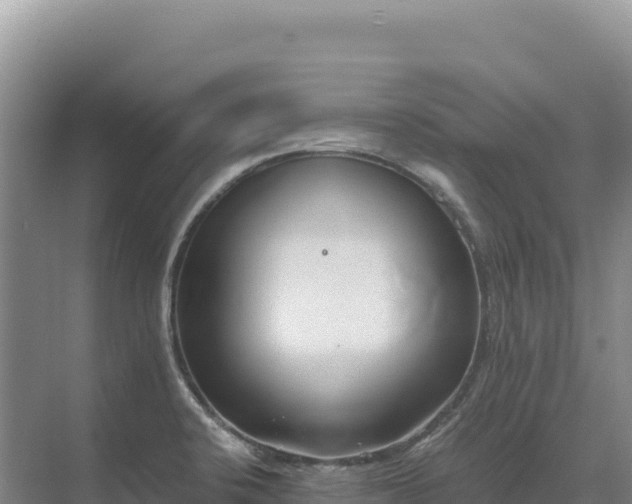 X0000071381424200606301758