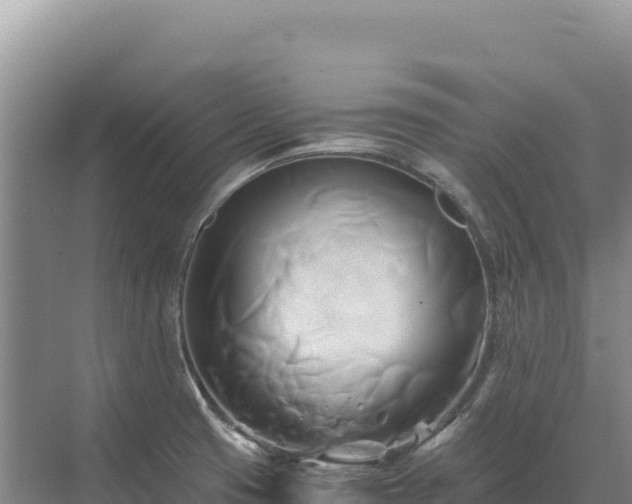 X0000071381425200606301758