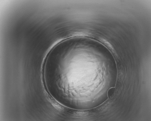 X0000071381427200606301758