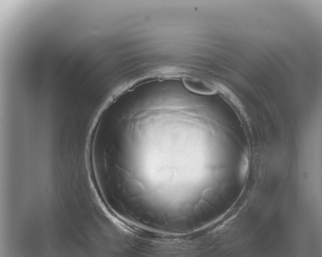 X0000071381429200606301758