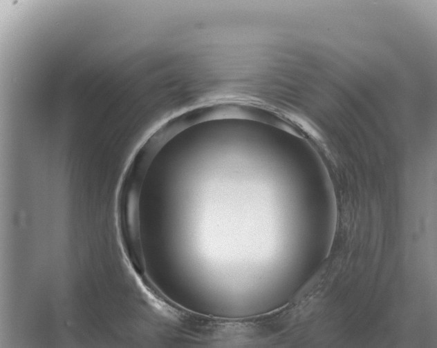 X0000071381430200606301758