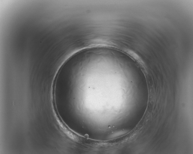 X0000071381431200606301758