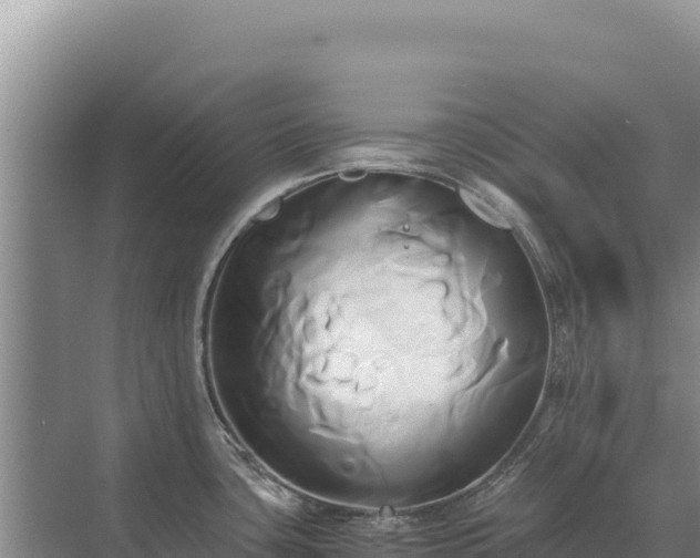 X0000071381435200606301758