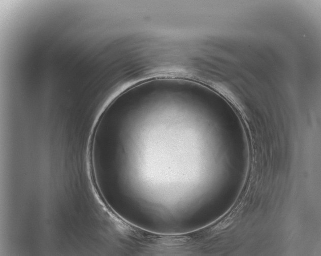 X0000071381440200606301758