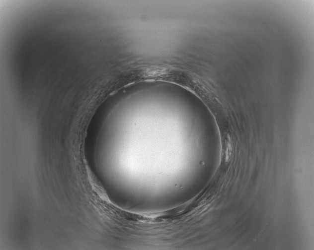 X0000071381441200606301757