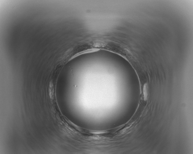 X0000071381443200606301757