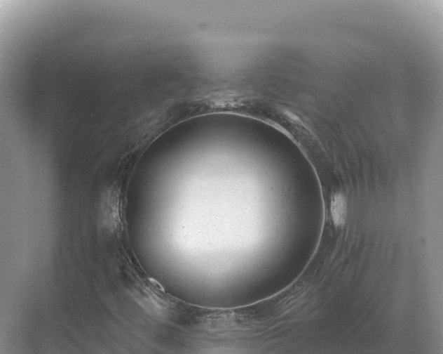 X0000071381444200606301757