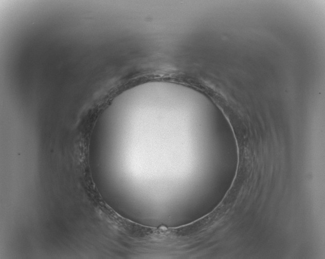 X0000071381447200606301757