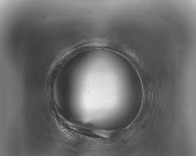 X0000071381448200606301757