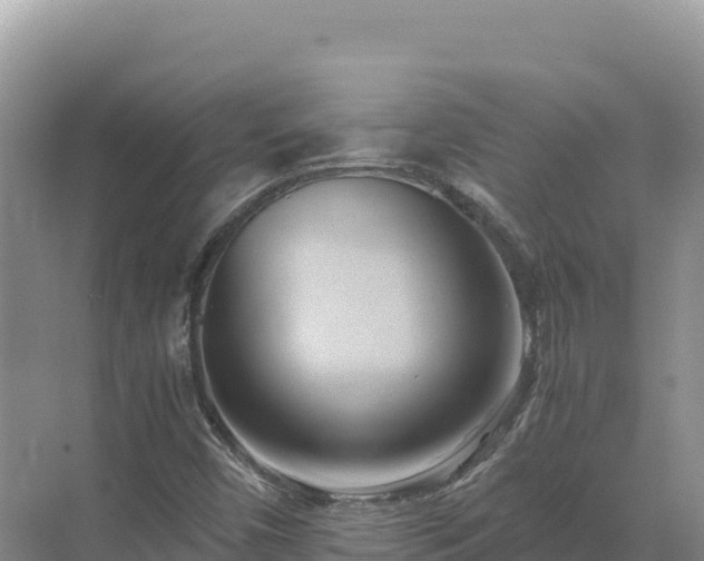 X0000071381450200606301757