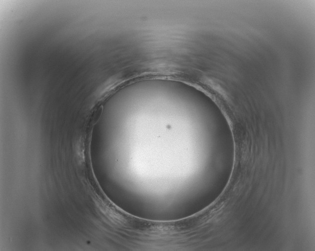 X0000071381451200606301757