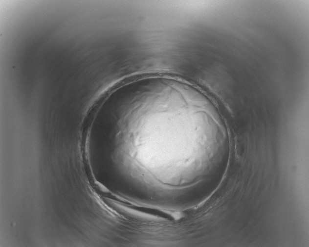 X0000071381452200606301757