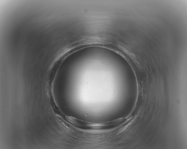 X0000071381453200606301757