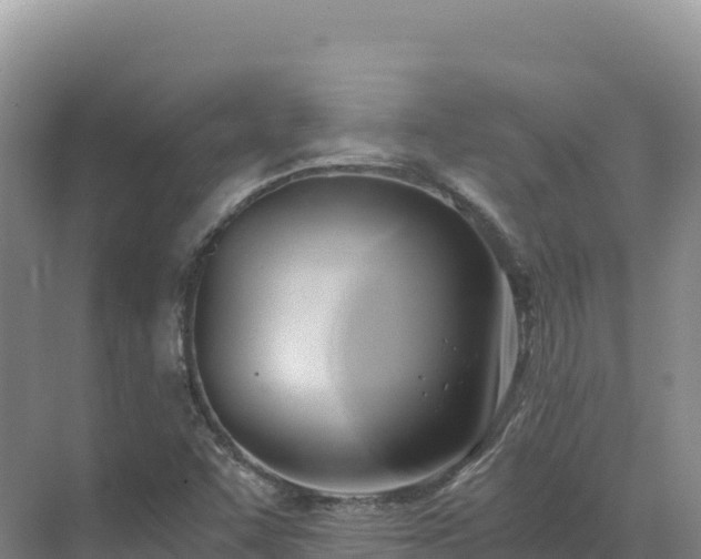 X0000071381455200606301757