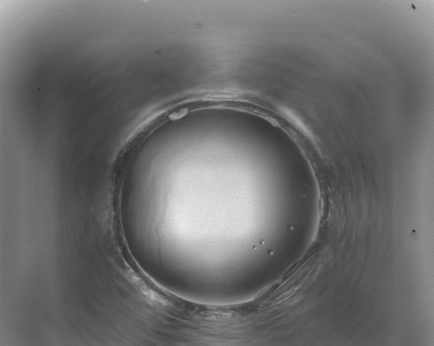 X0000071381456200606301757