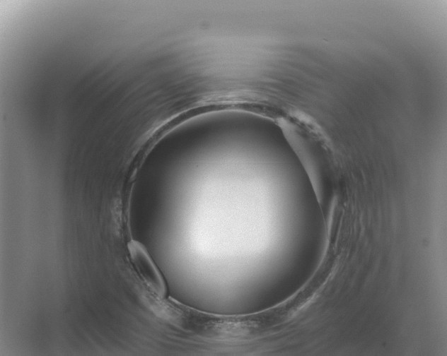 X0000071381457200606301757