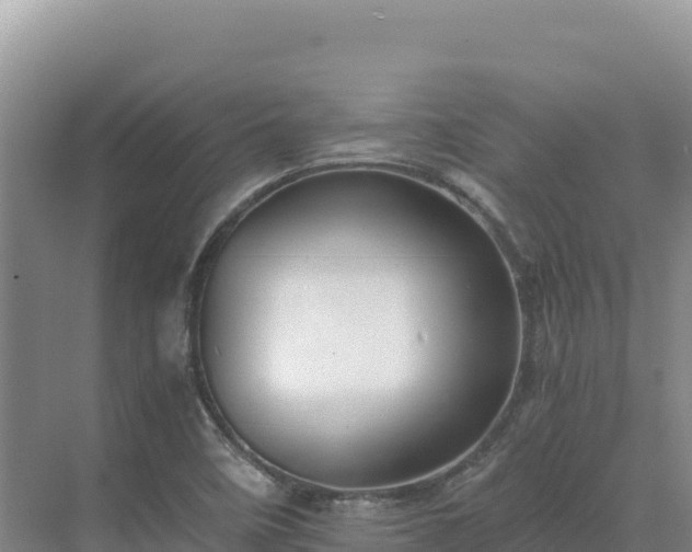 X0000071381458200606301757