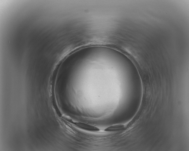 X0000071381459200606301757