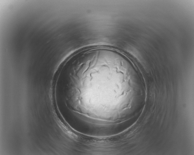 X0000071381460200606301757