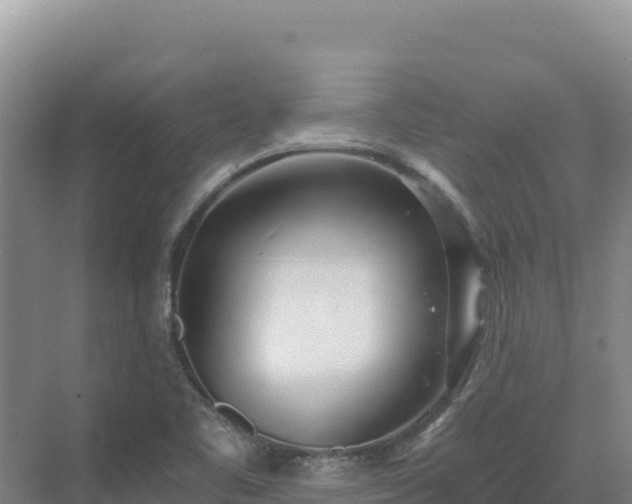 X0000071381461200606301757