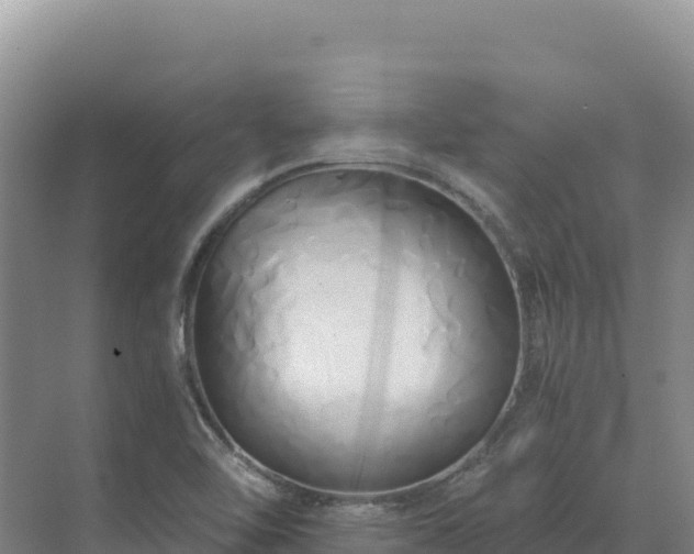 X0000071381462200606301757