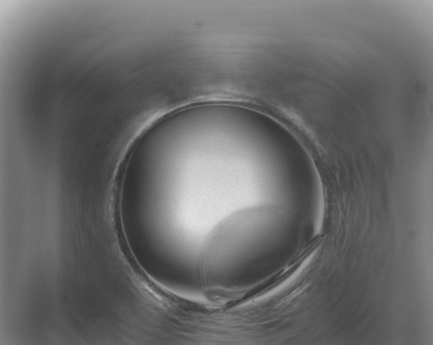 X0000071381463200606301757