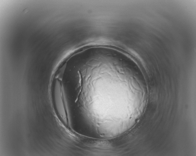 X0000071381464200606301757