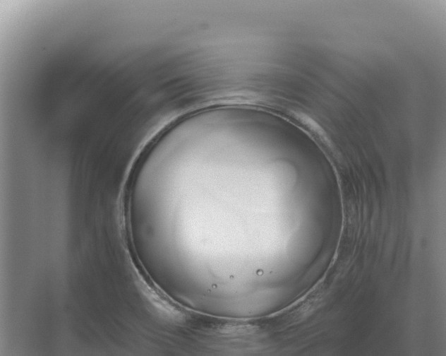 X0000071381466200606301757