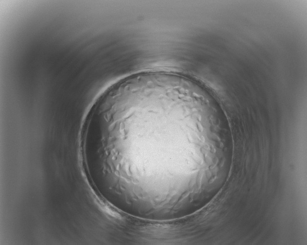 X0000071381470200606301757