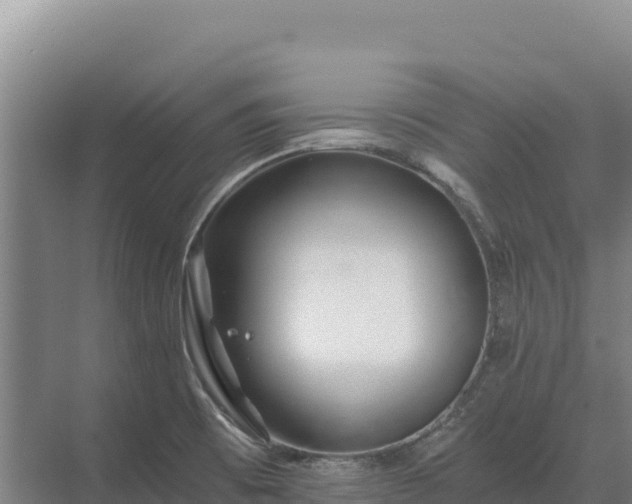 X0000071381473200606301757