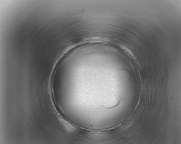 X0000071381474200606301757