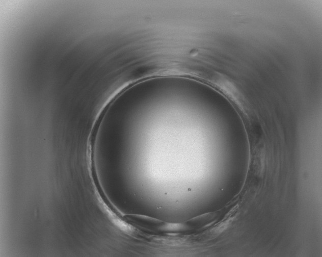 X0000071381476200606301757