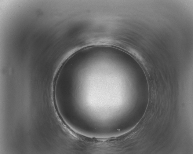 X0000071381480200606301757