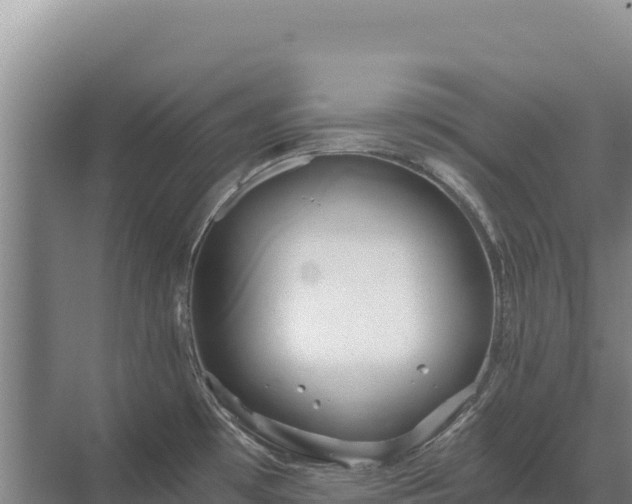 X0000071381481200606301757