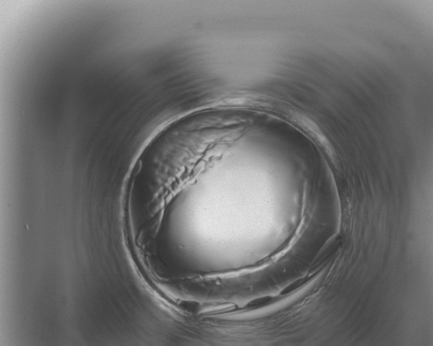 X0000071381483200606301757