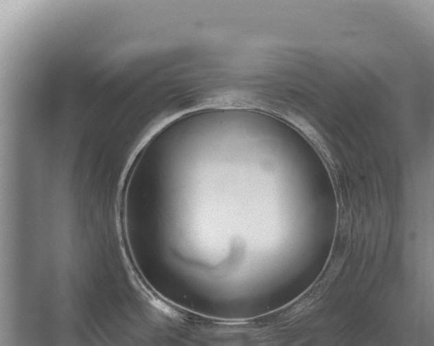 X0000071381486200606301757