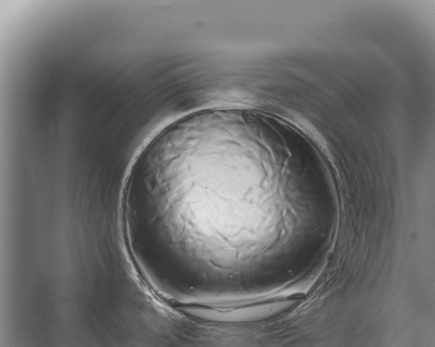 X0000071381488200606301757