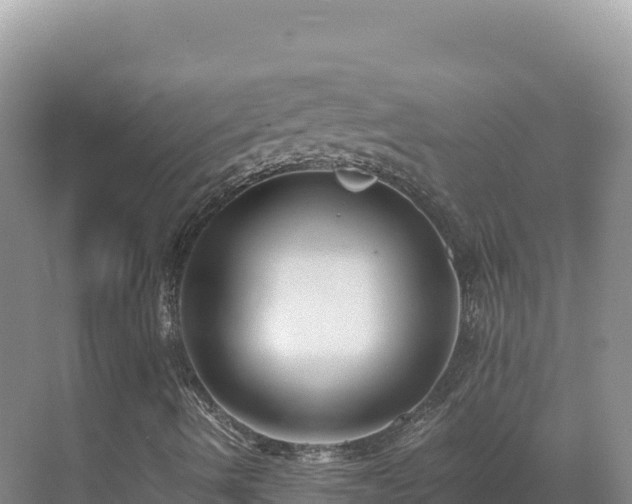 X0000071381490200606301756