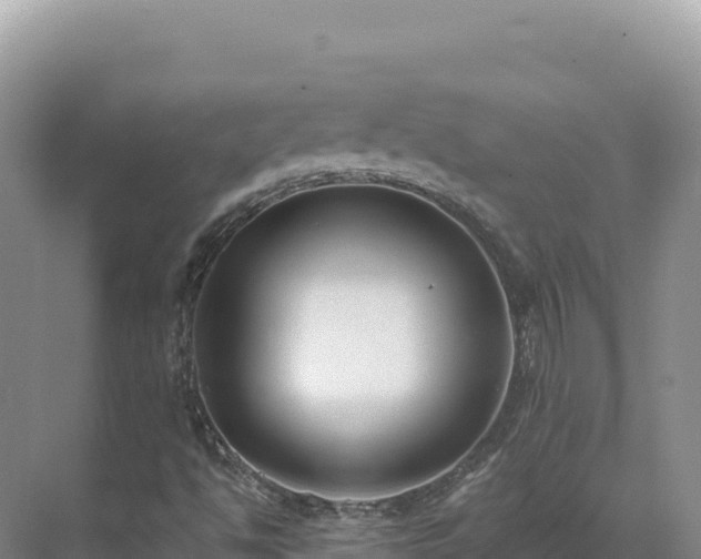 X0000071381494200606301756