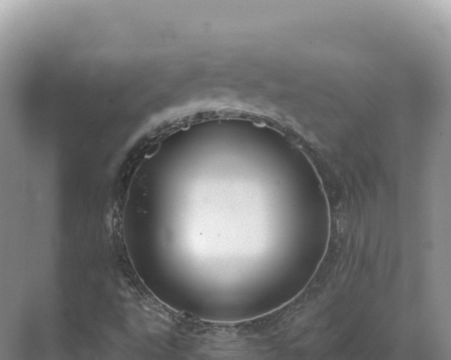 X0000071381495200606301756