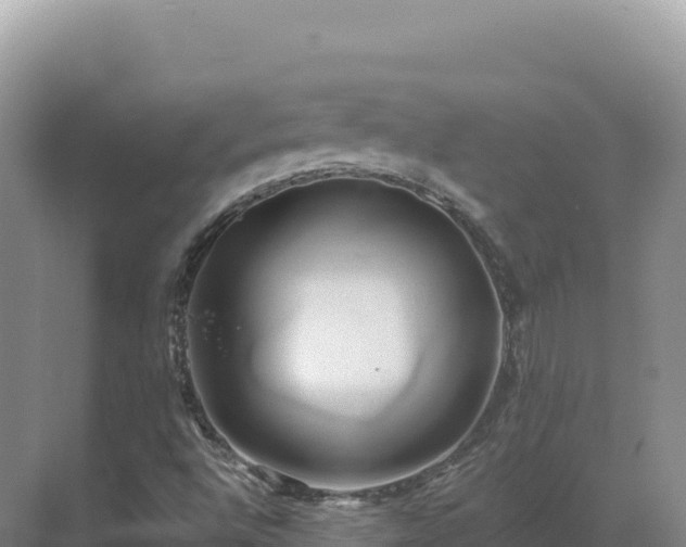 X0000071381496200606301756