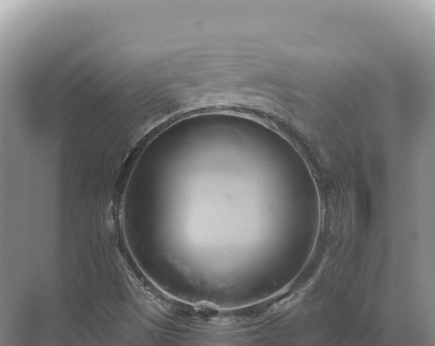 X0000071381497200606301756