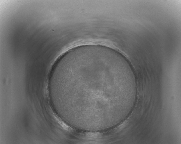 X0000071381498200606301756