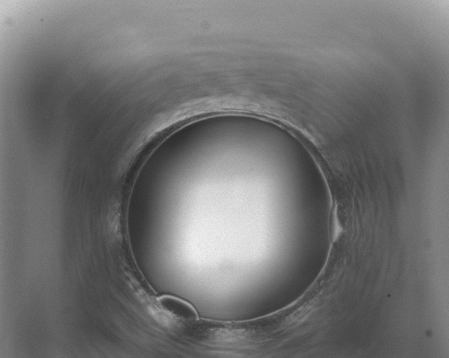 X0000071381499200606301756