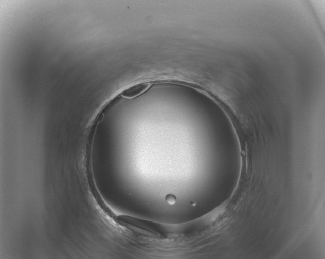 X0000071381500200606301756