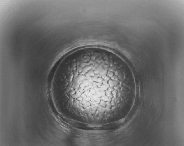 X0000071381501200606301756