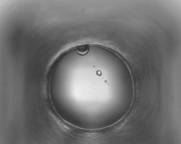 X0000071381502200606301756