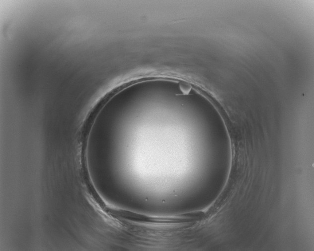 X0000071381503200606301756