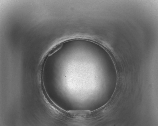 X0000071381504200606301756